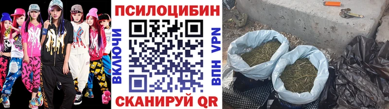 Галлюциногенные грибы Magic Shrooms  Купить где  Чехов 